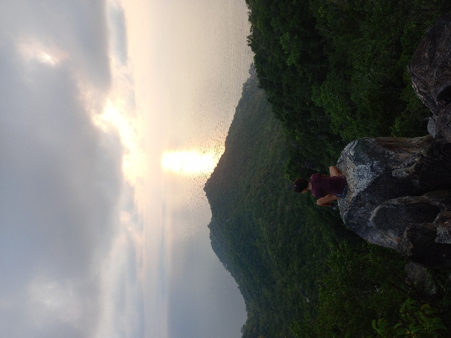 Viewpoint in a Summit