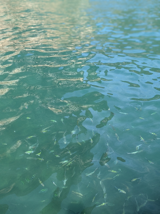 Pourquoi Mettre Un Masque 😅