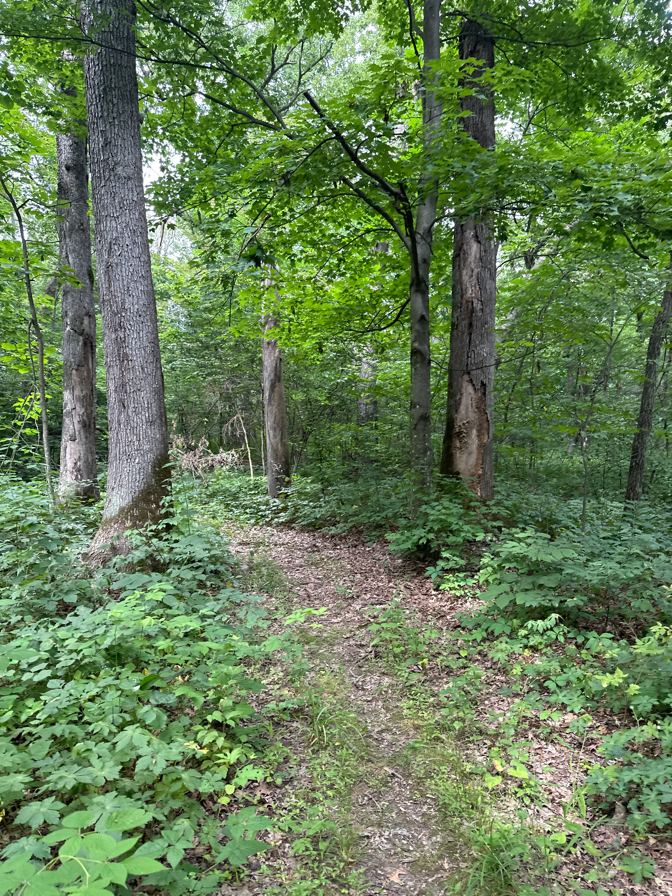 Quiet Hike