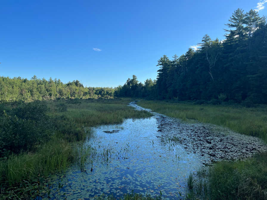 The Narrows: 2 Lakes, 3 Streams