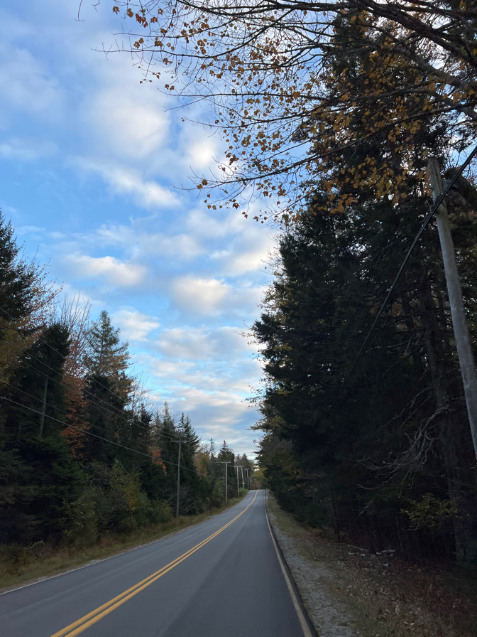 En Route through Brooklin