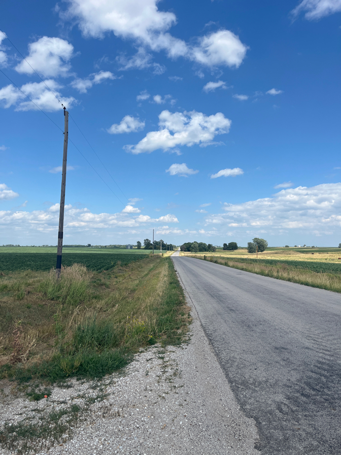 Unforgettable Forgottonia