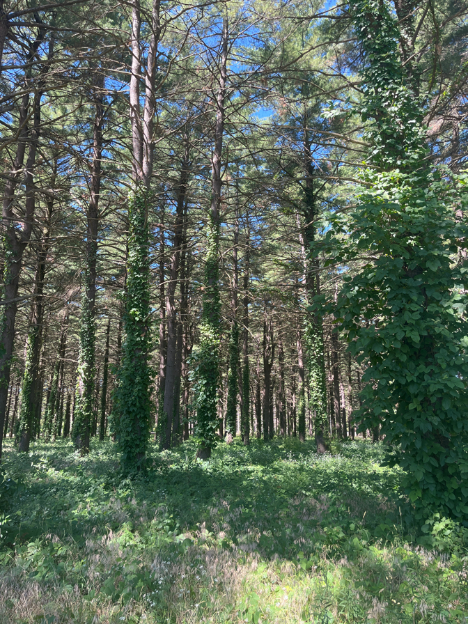 Argyle Lake State Park
