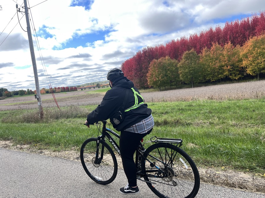 Stunning trees on the way to Paoli