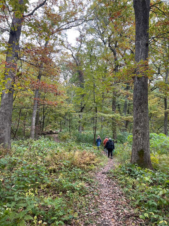 Hiking At Olson Oak Woods State Natural Area