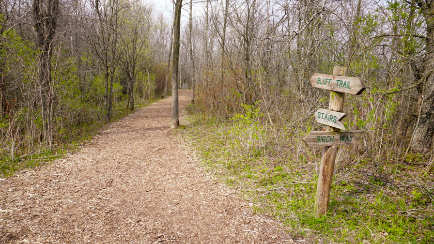Continue on the Bluff Trail