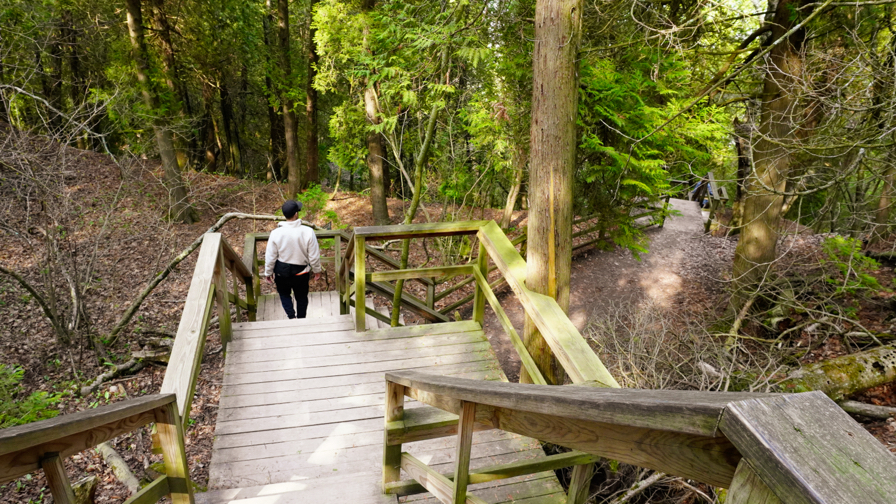 Bluff Trail Stairs to Beach