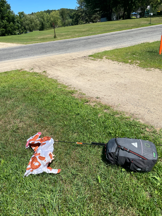 Cow Down In Union Center