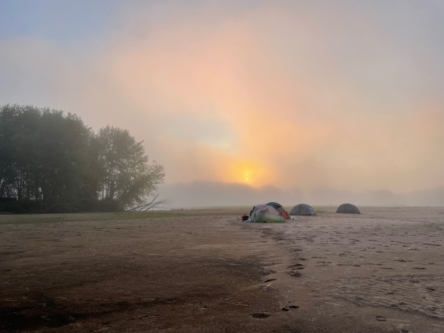 Time To Feed The Chickens