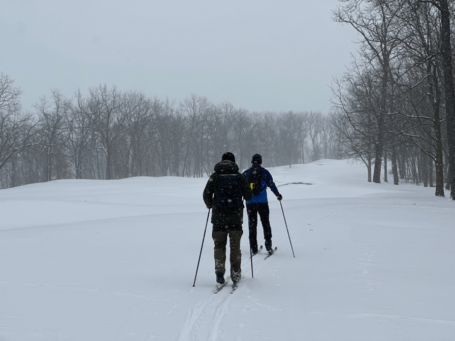 The Snow Is Really Starting To Come Down