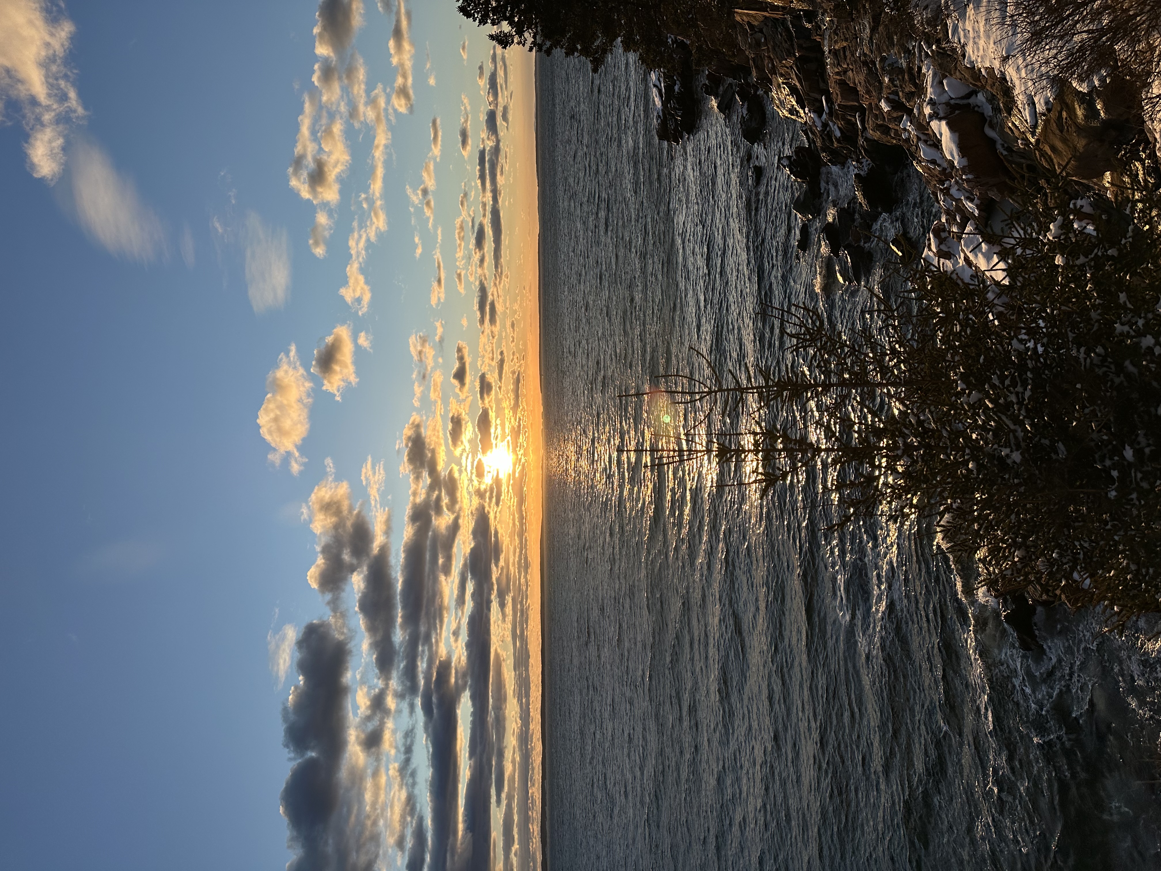 📍 Bass Harbor Head Light