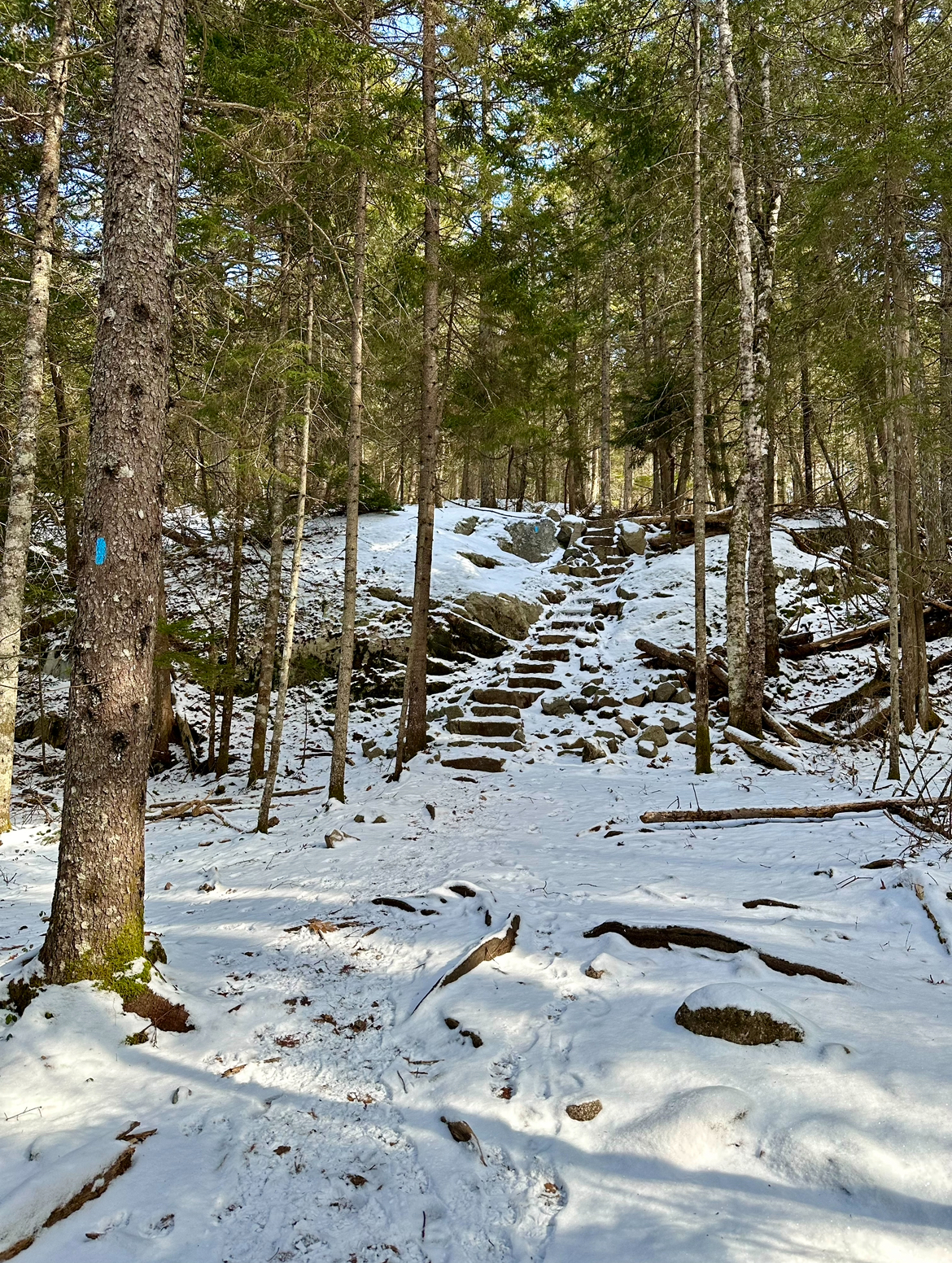 Our last hike of the trip 🤘