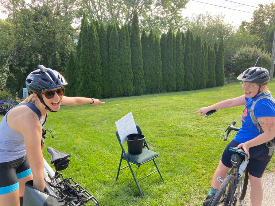 Free Pears On The Interurban Trail