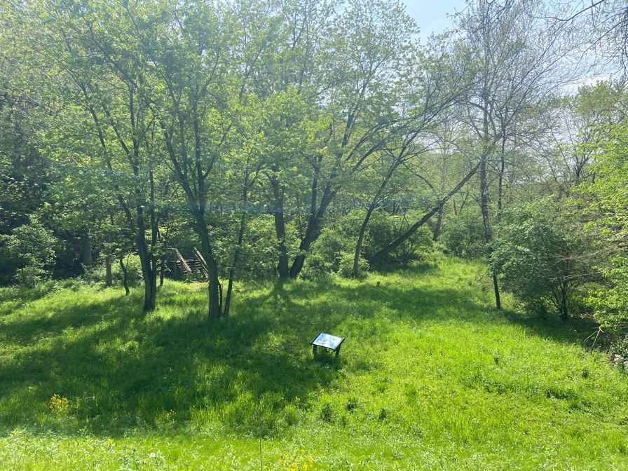 The Hiking Adventure