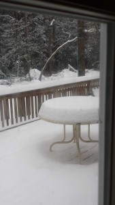 MARDELA SNOW