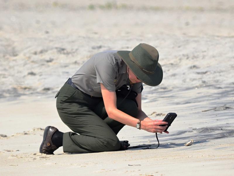 Assateague Island National Seashore 2015, Taylor taking a picture of something for a social media post!