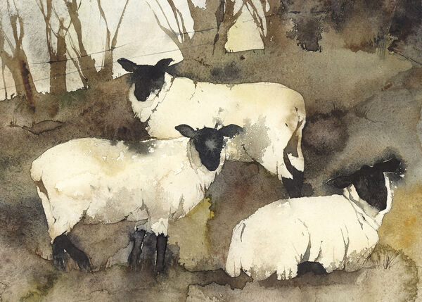 Winter Sheep watercolour