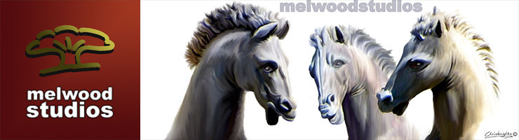 melwoodstudios artwork