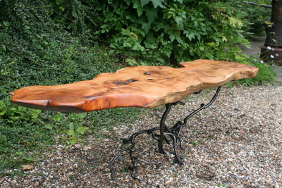 59720_yew root table