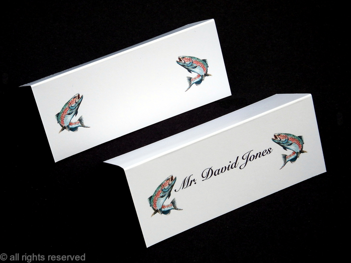 salmon place name card example with names printed or without names example name card