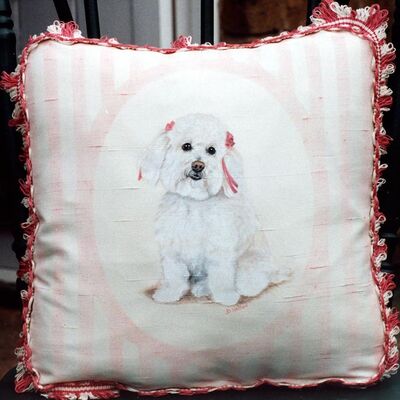 bichon cushion