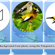 Remove-background-from-image-using-the-Polygonal-Lasso-Tool