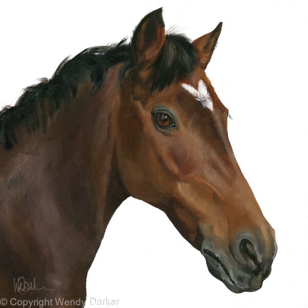 Brown horse  acrylic on box canvas