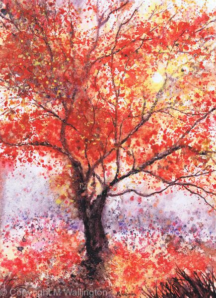 Fiery Red Tree - watercolour