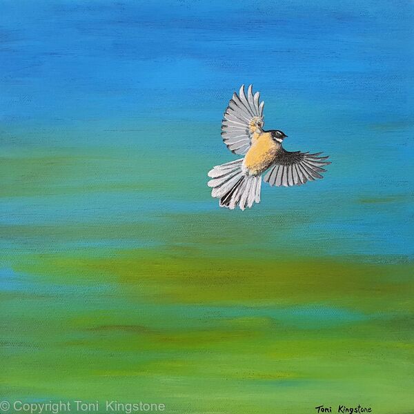 Fantail Flight Limited Edition Print of 100