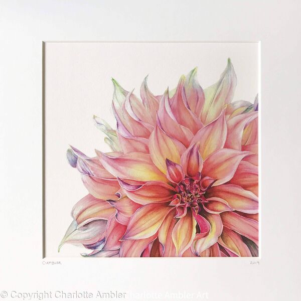 Charlotte Ambler art giclee prints greeting cards