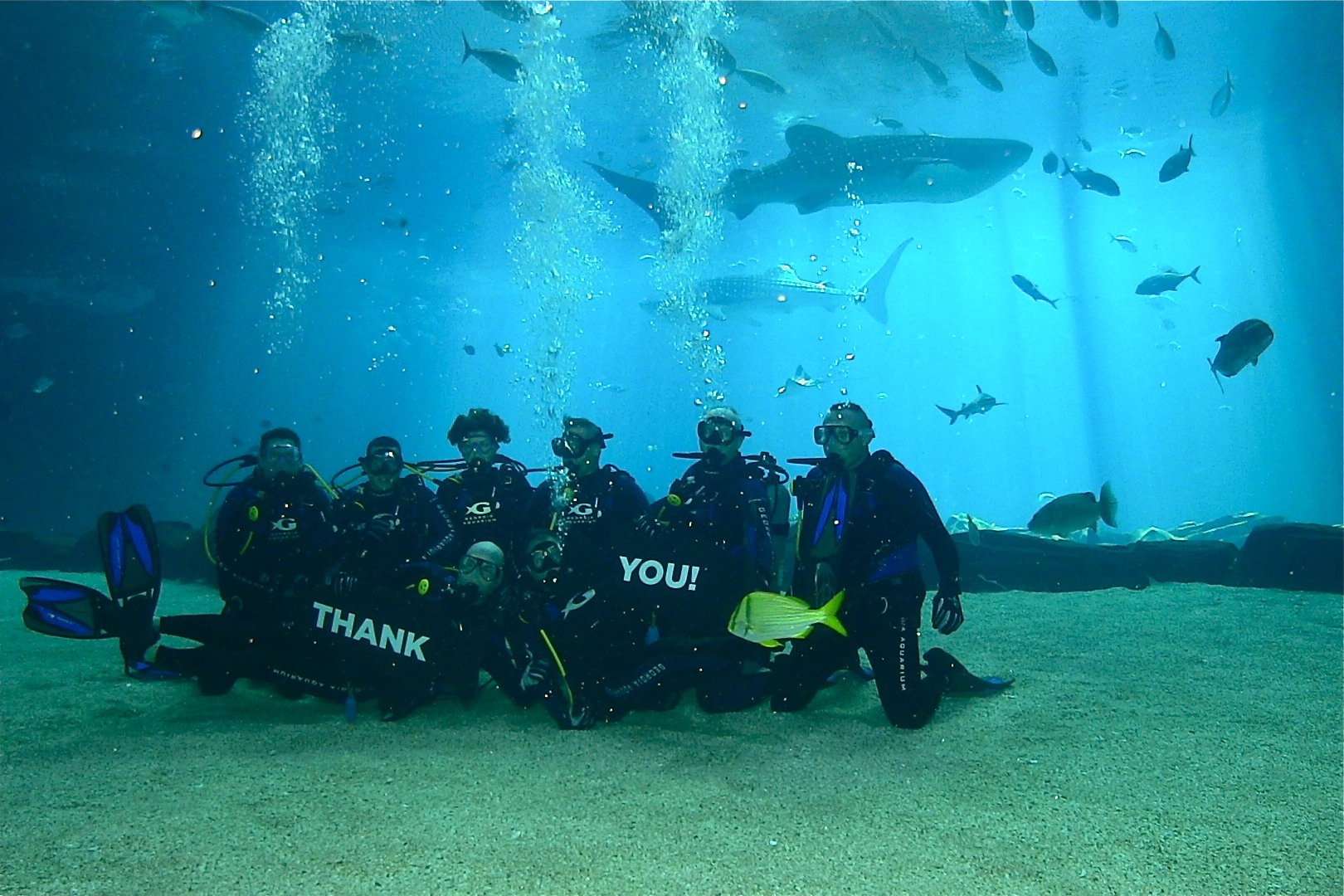 Aquarium Veterans Immersion Program