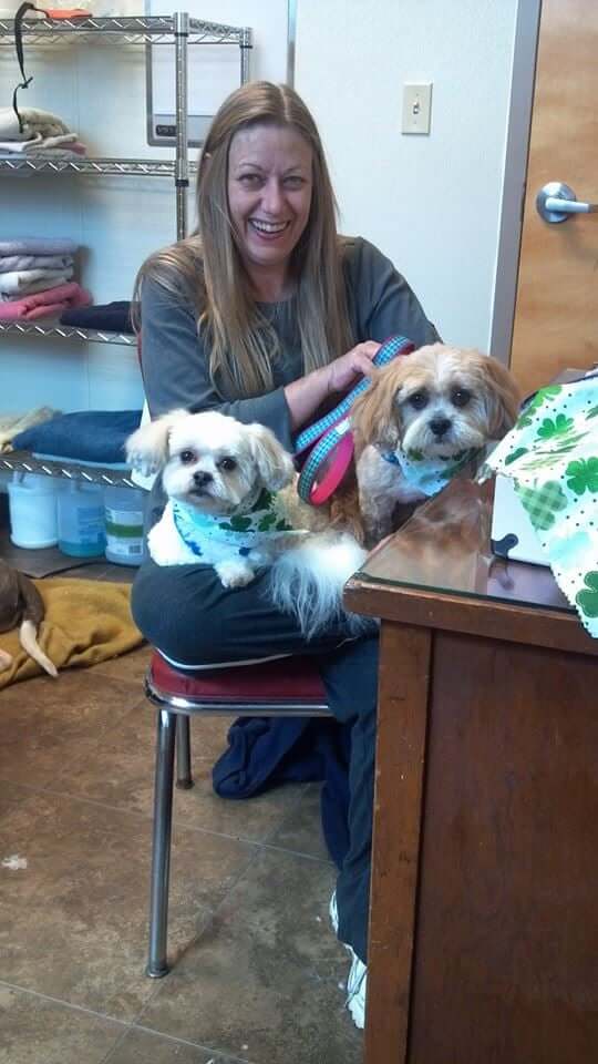 Animal House Pet Grooming