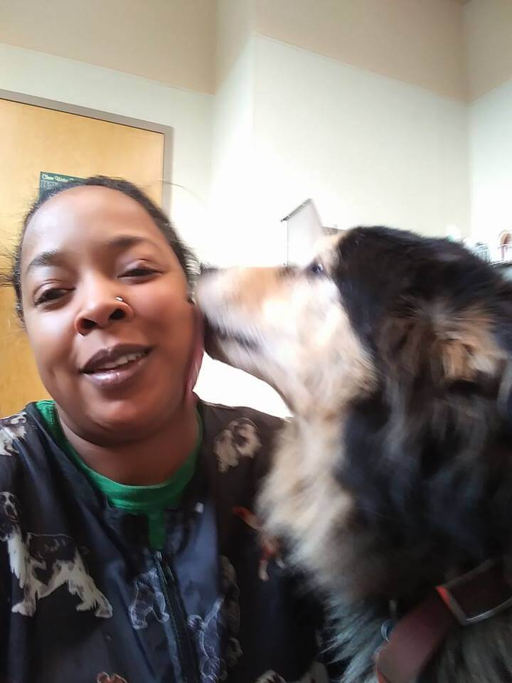 animal house pet styling