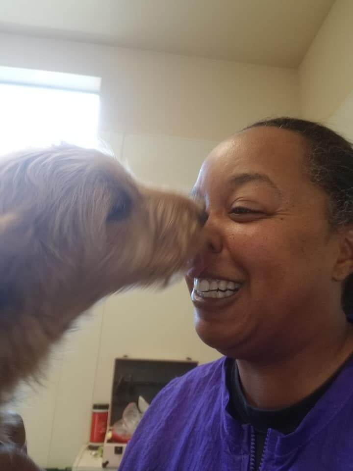 Animal House Pet Grooming