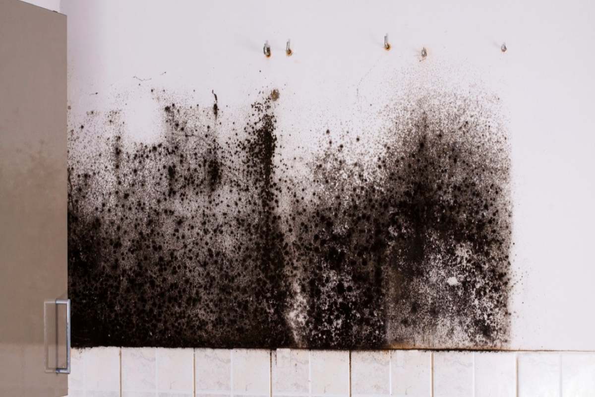 We Really Do Buy Houses