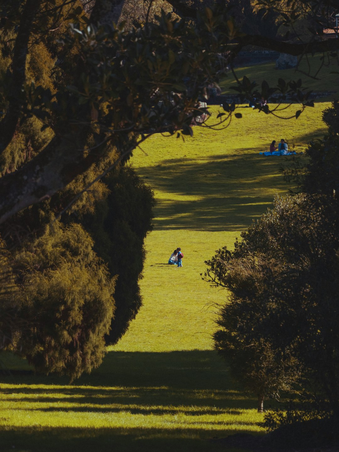 What is the ordinary duration for marketing Arizona land?