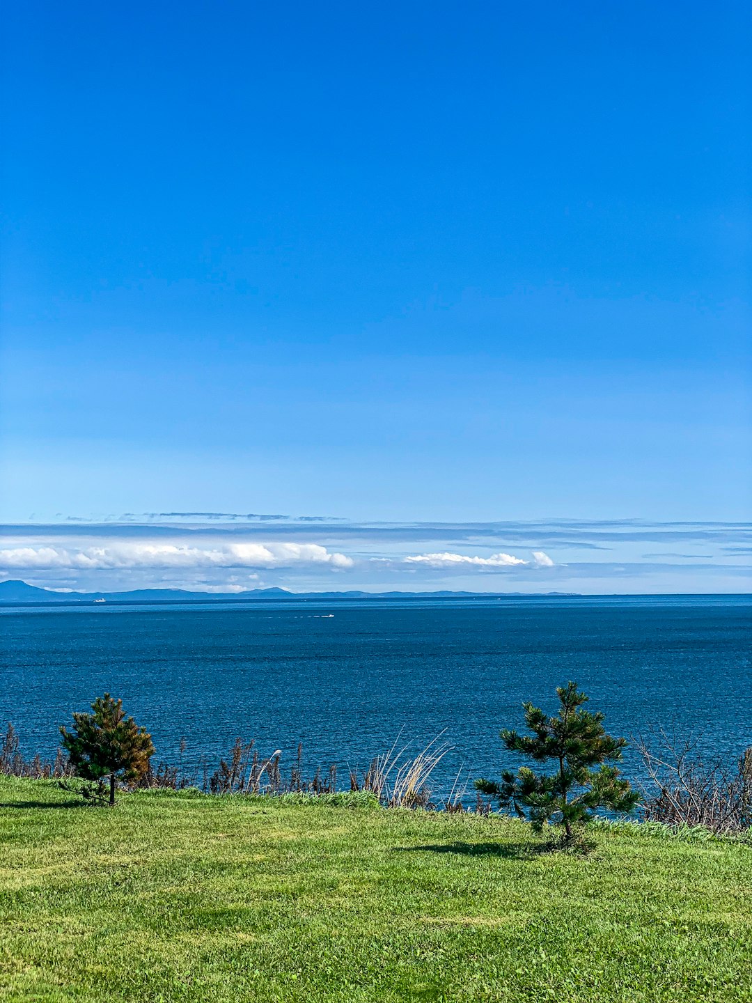 What are the legal steps involved in marketing New York land for cash?