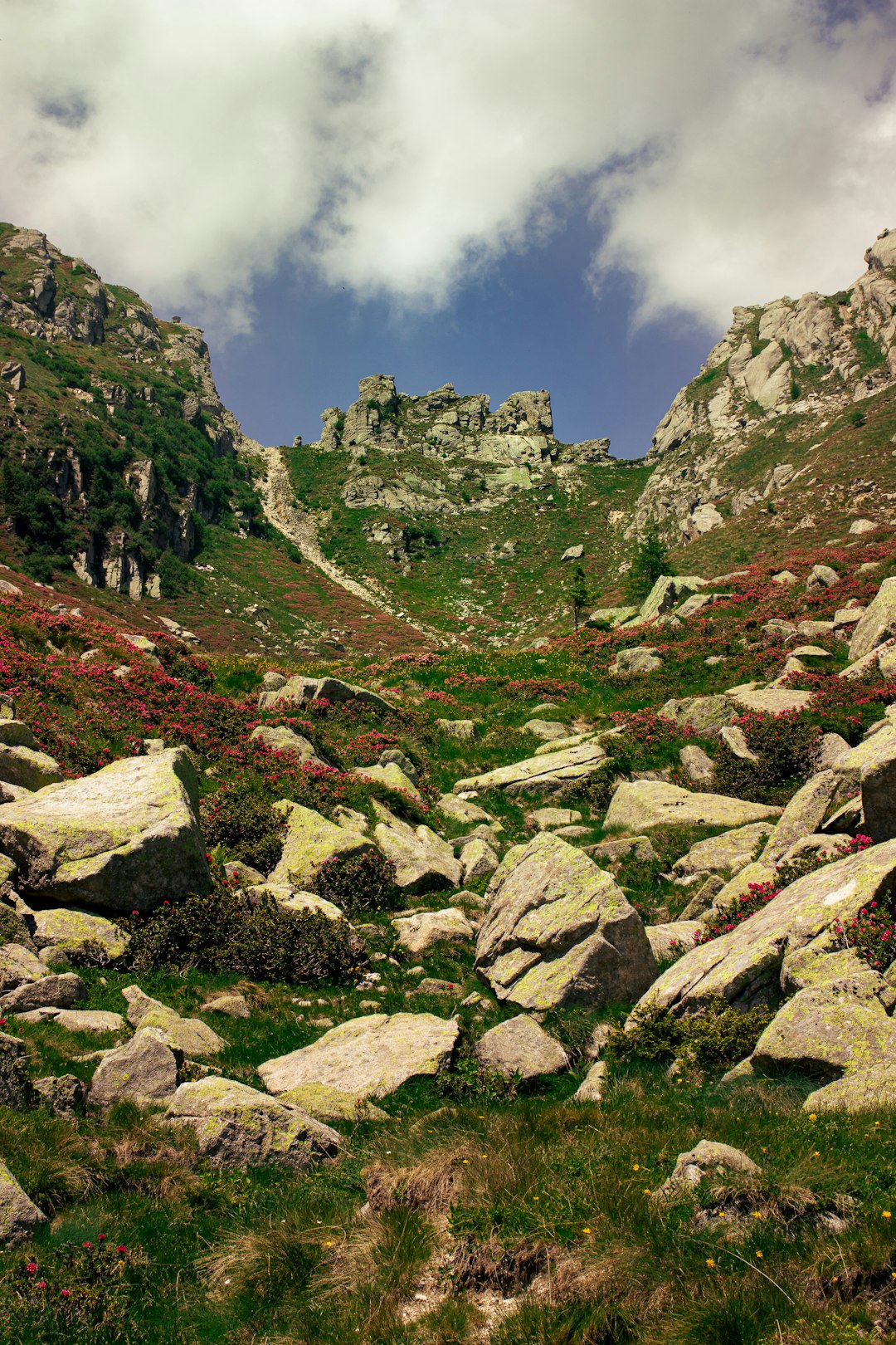 How to Browse the Process of Marketing Hawaii Land for Cash