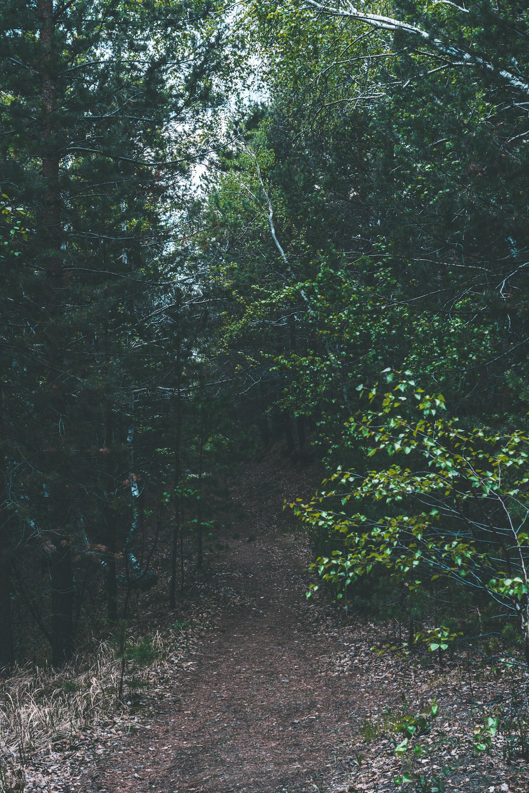 What are the tax ramifications of marketing Oklahoma land for cash?