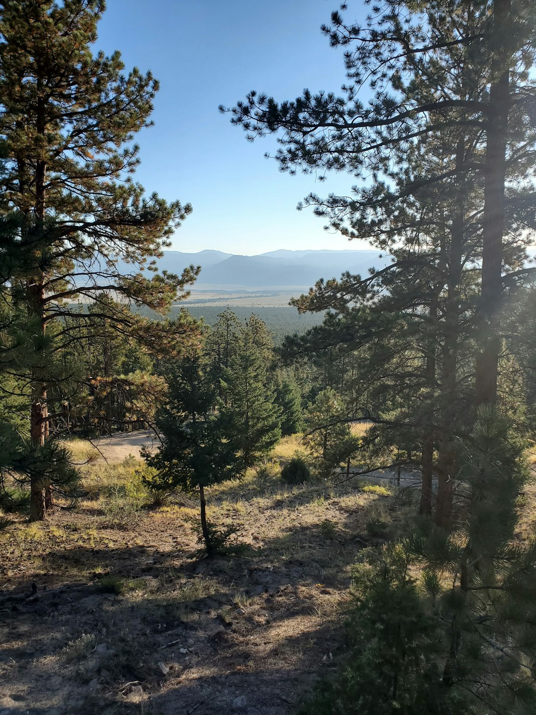 What is the procedure for marketing Kansas land for cash money?