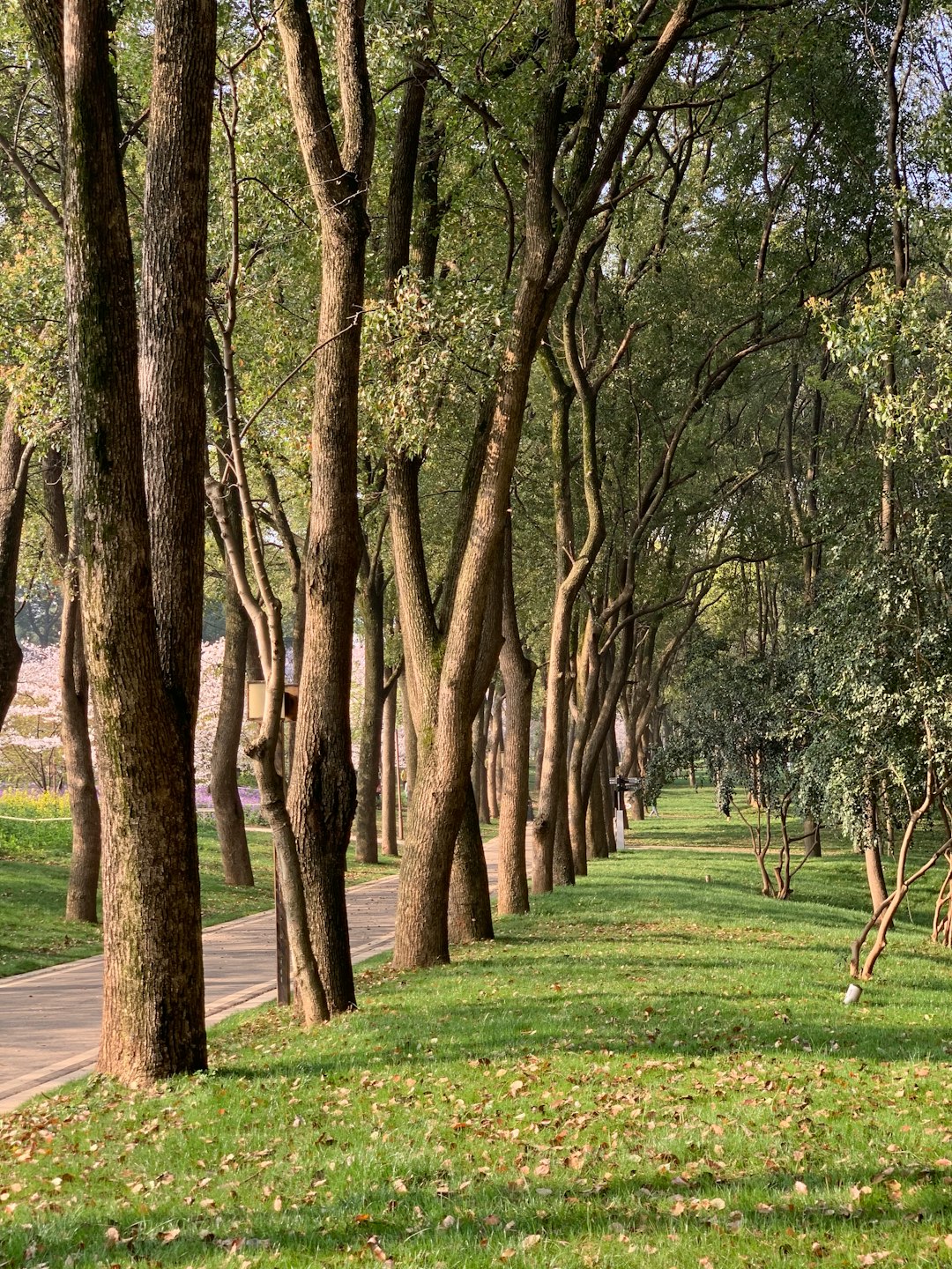 How to Conveniently Sell Your Colorado Land for Fast Cash