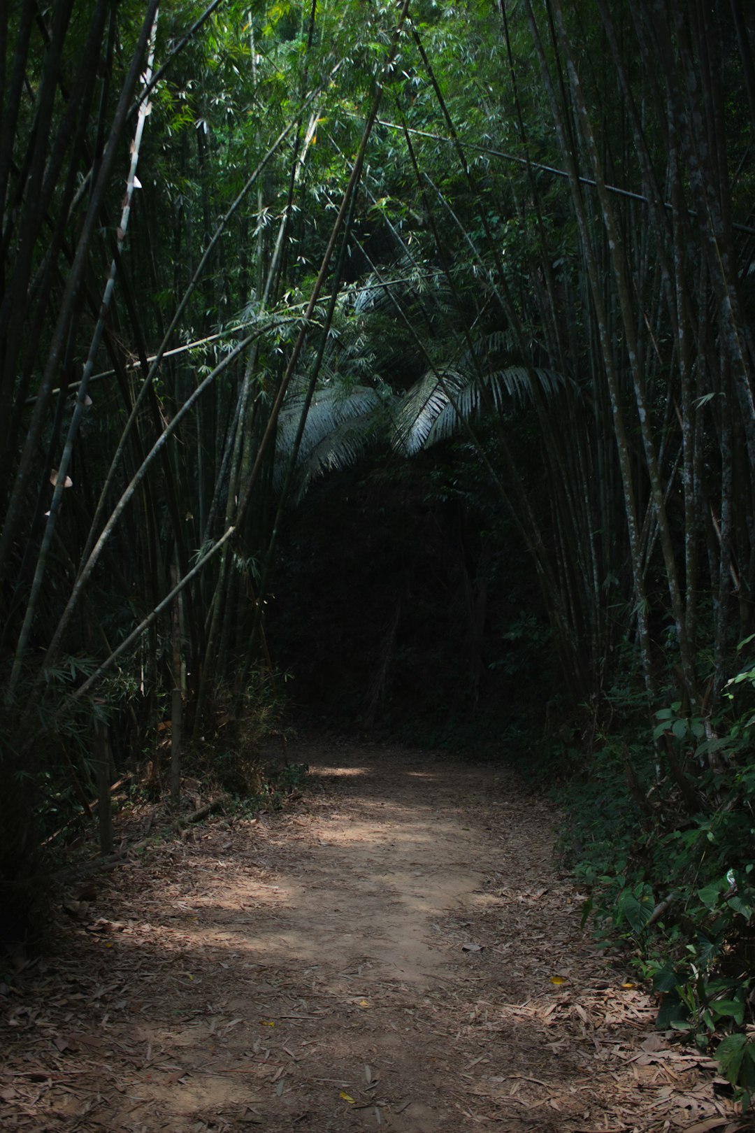 What is the procedure for selling Illinois land for money?