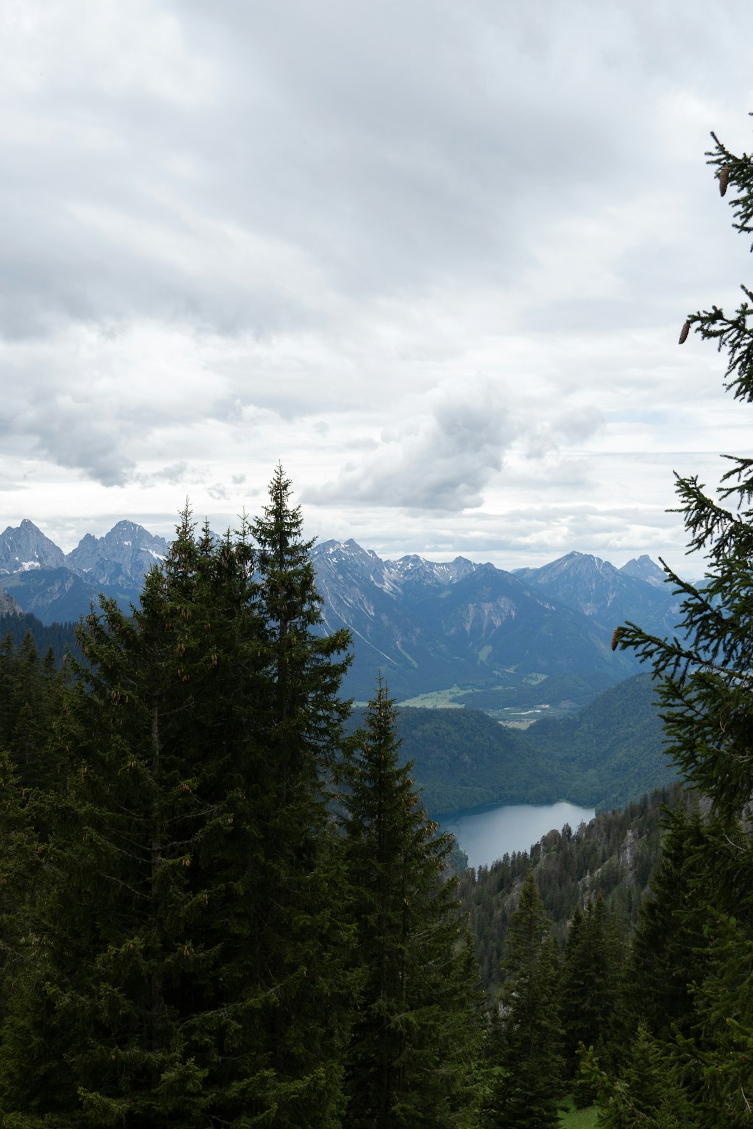 What is the potential influence of offering Alaska land for cash money?