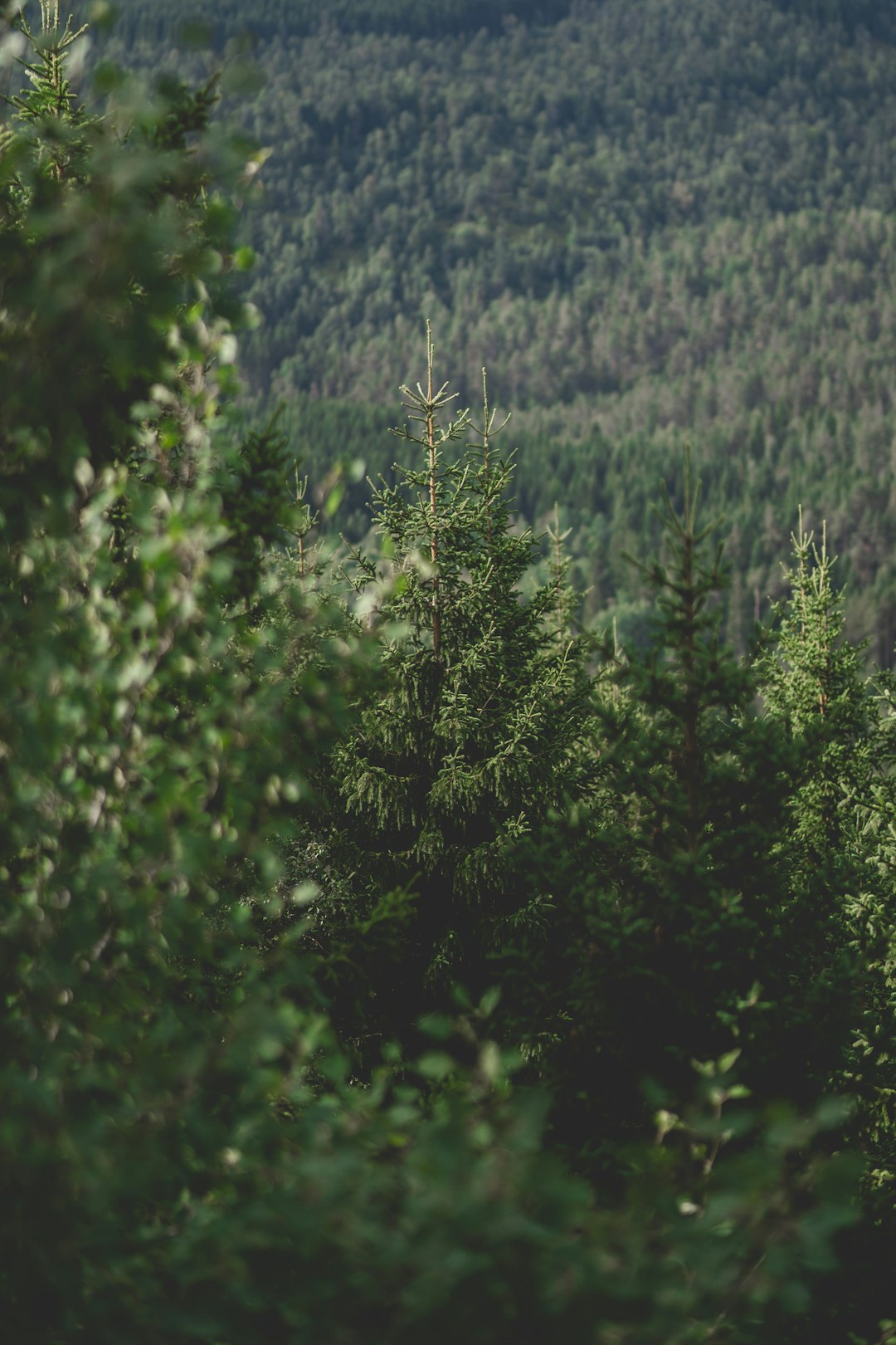 What is the long-term repercussions of selling off parts of Alaska's land?