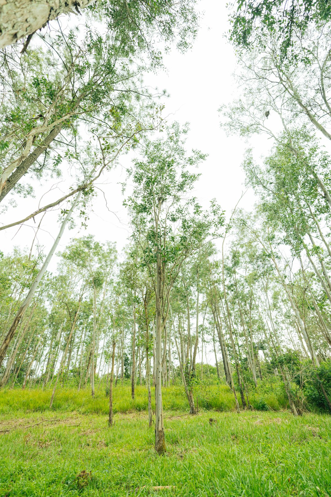 What documents do I need to prepare when selling North Carolina land for cash?