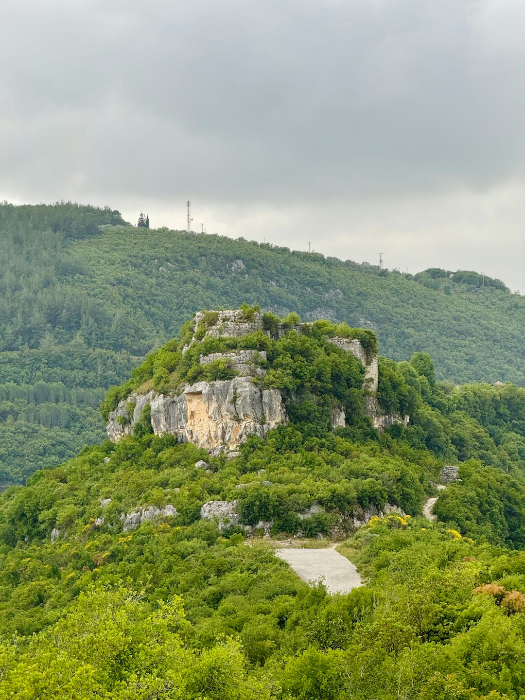 How to Get the Best Price When Selling Land in North Carolina for Cash