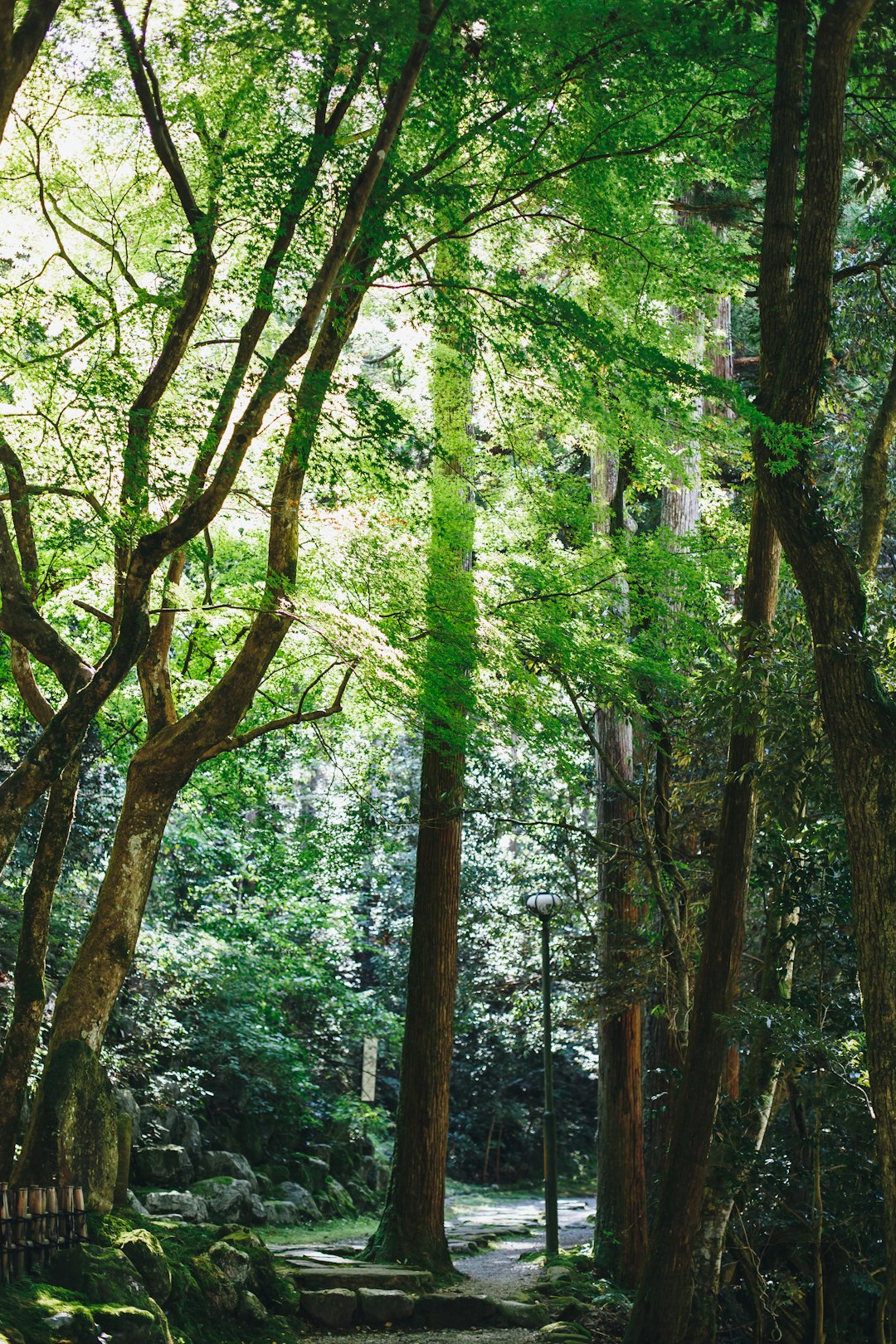 What is the very best method to market and Sell Land?