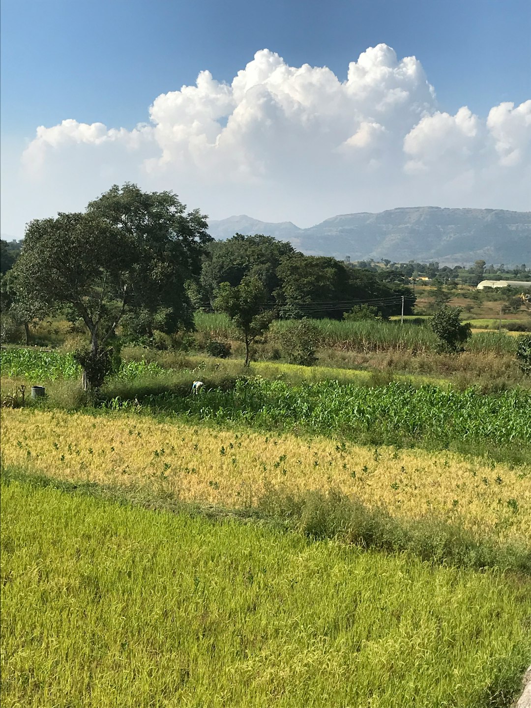 What is a land buyer and what do they do?