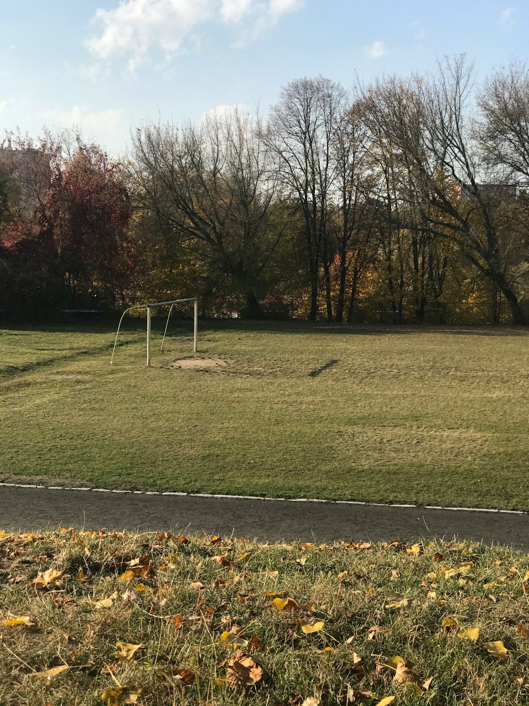 What factors should a land buyer consider when purchasing property?