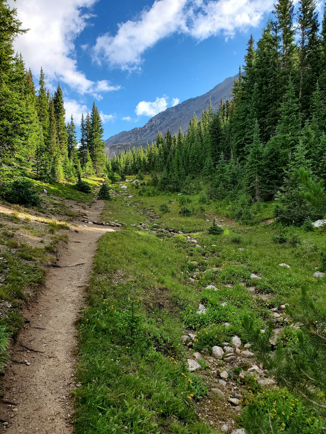 What factors should a land buyer consider when purchasing property?